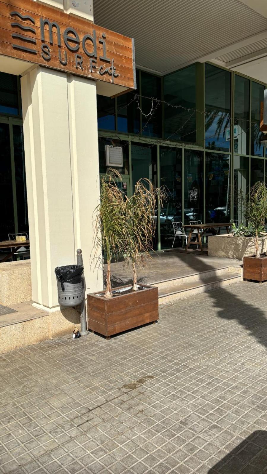 Apartamento Primera Linea De Playa Patacona Valencia Eksteriør billede